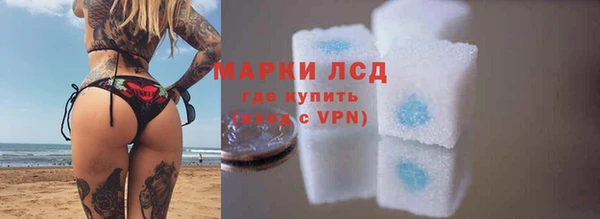 ГАЛЛЮЦИНОГЕННЫЕ ГРИБЫ Новодвинск
