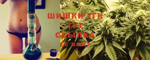 ГАЛЛЮЦИНОГЕННЫЕ ГРИБЫ Новодвинск
