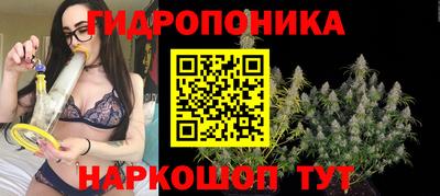 МДПВ Берёзовский