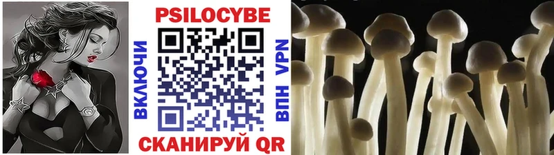 Купить закладки  Северск  Псилоцибиновые грибы мицелий 