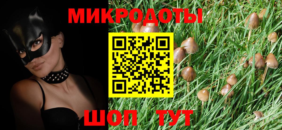 Псилоцибиновые грибы MAGIC MUSHROOMS Северск