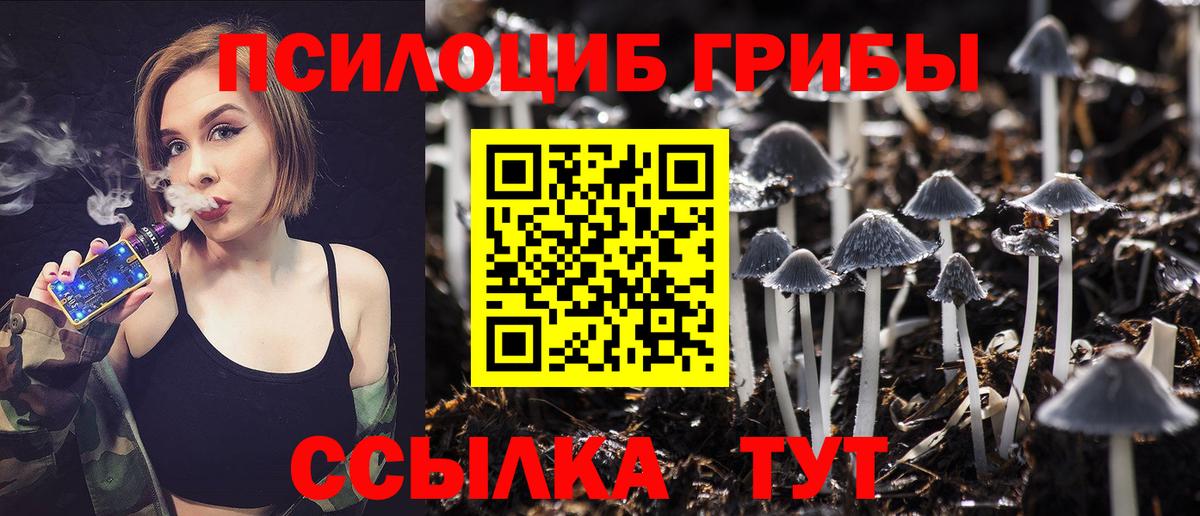 БУТИРАТ Северск