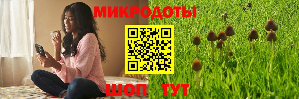 Псилоцибиновые грибы Psilocybine cubensis  Вход с VPN  Галлюциногенные грибы прущие грибы  Северск 