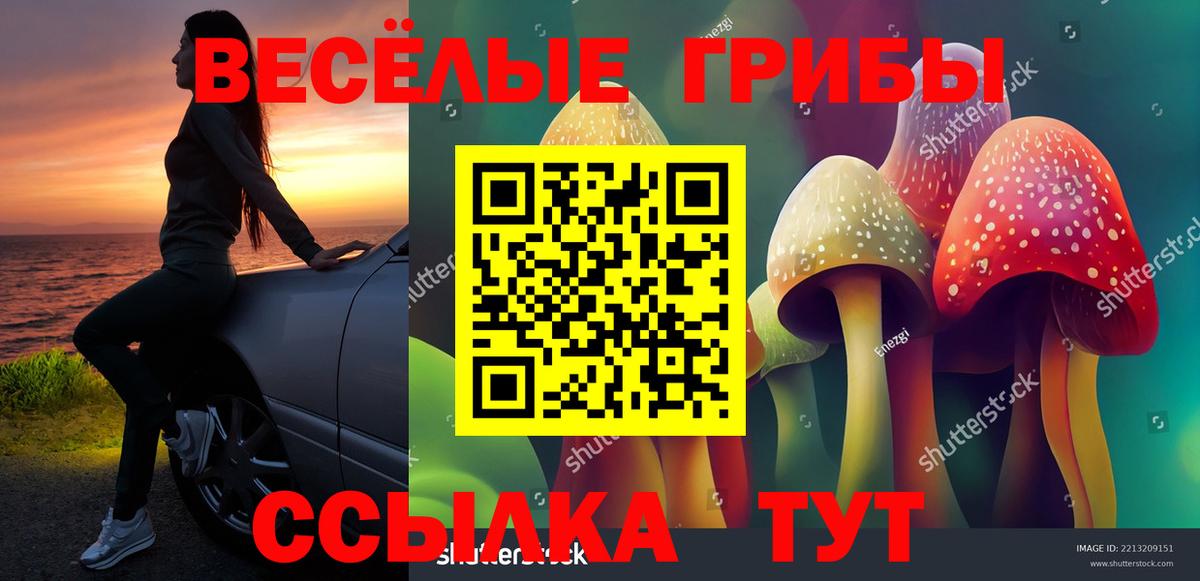 Псилоцибиновые грибы Cubensis Северск