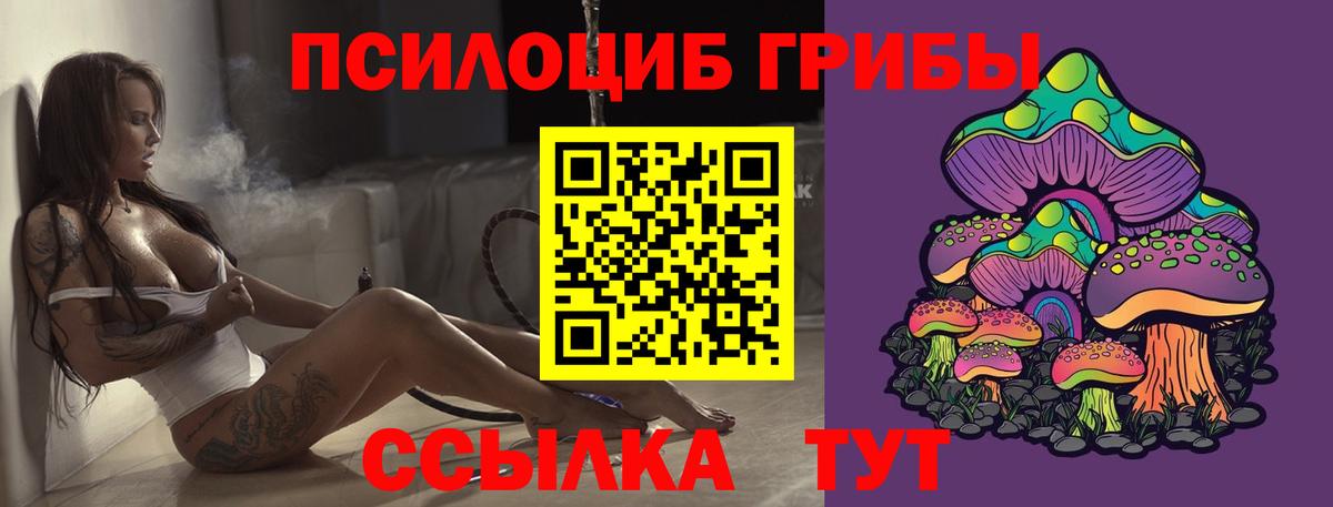 Псилоцибиновые грибы Psilocybe  купить наркотик  Северск 