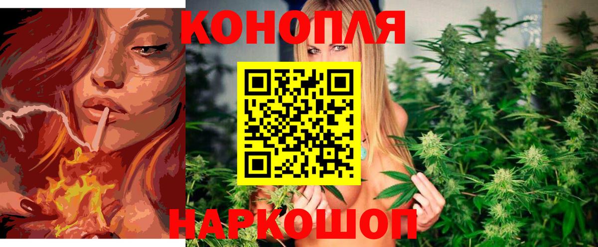 Шишки марихуана тримм  Канабис марихуана  Северск  Конопля конопля 