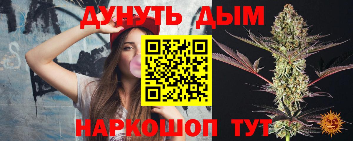 Бошки Шишки планчик Северск